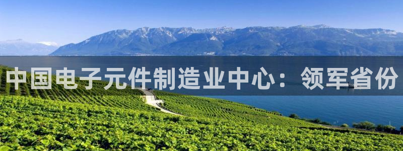 pg电子游戏软件平台有哪些：中国电子元件制造业中心：领军省份