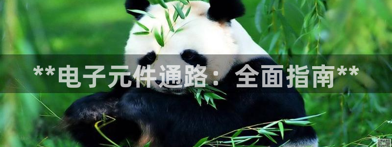 电子pg游戏官网：**电子元件通路：全面指南**