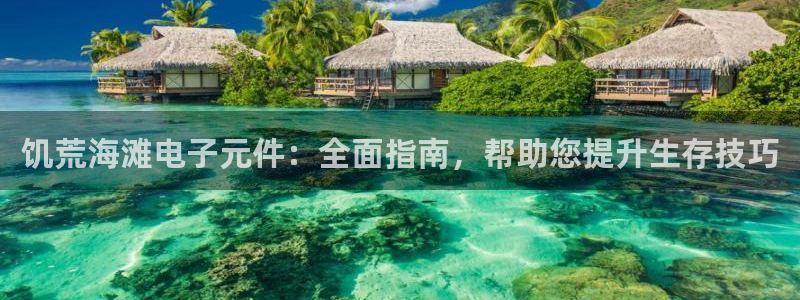 pg电子有官方网站吗试玩游戏：饥荒海滩电子元件：全面指南，帮助您提升生存技巧