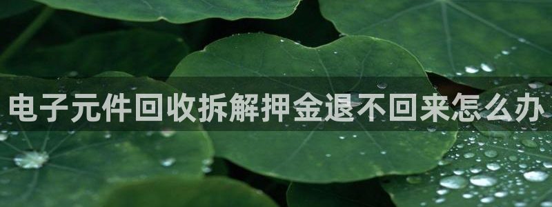 pg电子hvq正规tga68点com认准：电子元件回收拆解押金退不回来怎么办