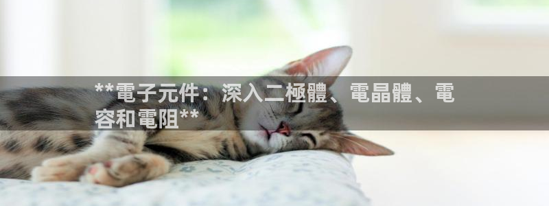 pg电子有官方网站吗试玩版：**電子元件：深入二極體、電晶體、電
容和電阻**