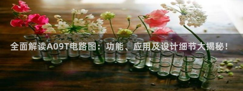 pg电子平台都有哪些：全面解读A09T电路图：功能、应用及设计细节大揭秘！