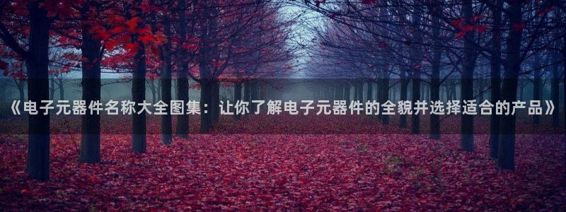 PG电子平台官方网站：《电子元器件名称大全图集：让你了解电子元器件的全貌并选择适
