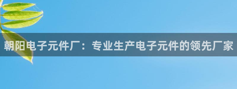 pg试玩版网站：朝阳电子元件厂：专业生产电子元件的领先厂家