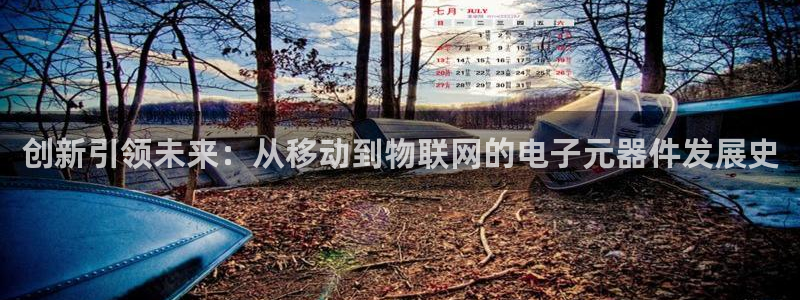 pg电子平台网站大全官网：创新引领未来：从移动到物联网的电子元器件发展史