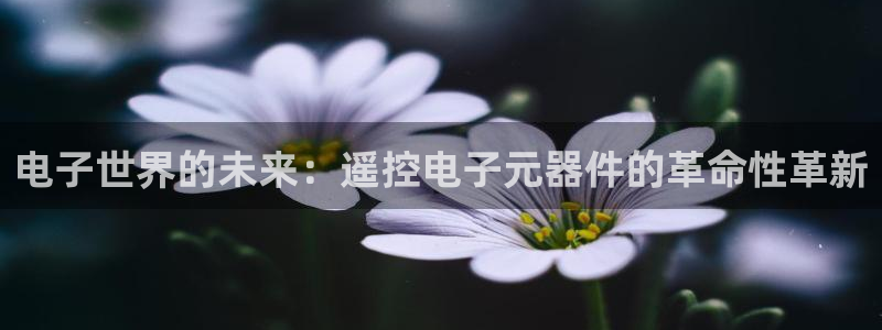pg电子是什么平台：电子世界的未来：遥控电子元器件的革命性革新