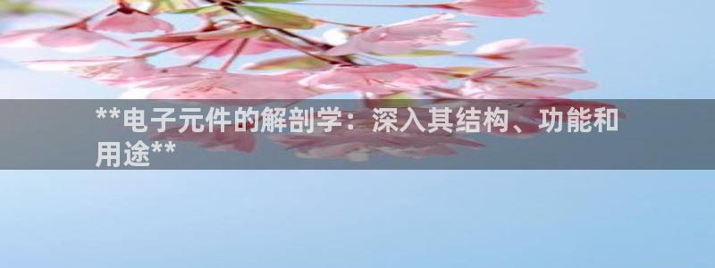 哪里有pg电子试玩：**电子元件的解剖学：深入其结构、功能和
用途**