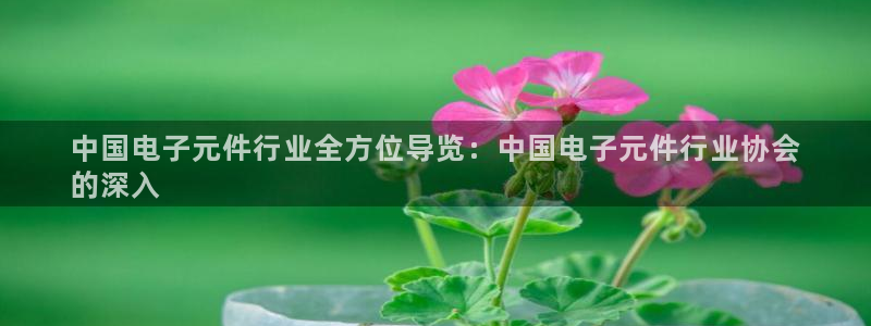 pg电子游戏辅助工具：中国电子元件行业全方位导览：中国电子元件行业协会
的深入