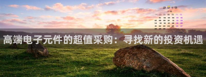 电子pg游戏官网有跳槽彩金吗：高端电子元件的超值采购：寻找新的投资机遇