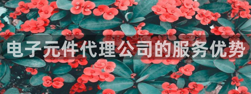 pg电子维护公告：电子元件代理公司的服务优势