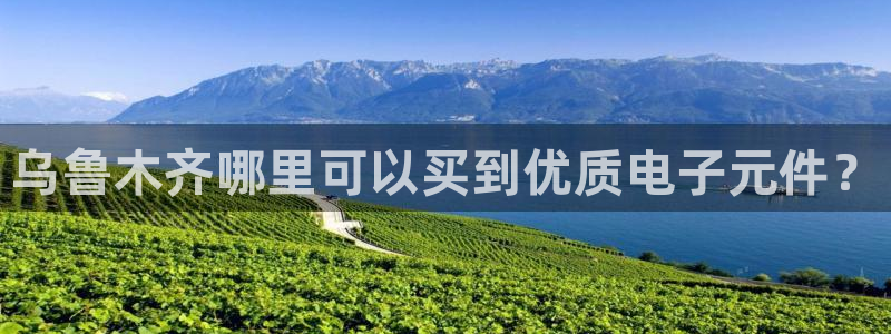 pg麻将胡了下载官网：乌鲁木齐哪里可以买到优质电子元件？