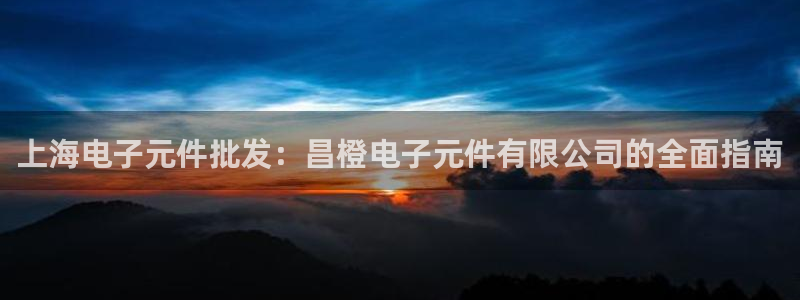 pg电子平台网址游戏：上海电子元件批发：昌橙电子元件有限公司的全面指南