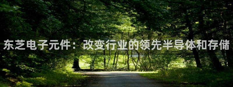 pg电子ng28：东芝电子元件：改变行业的领先半导体和存储