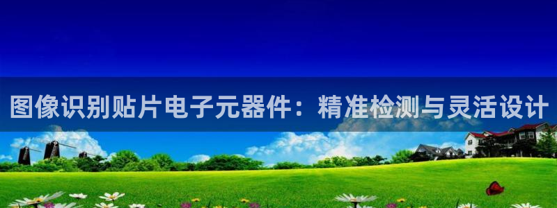 试玩pg电子：图像识别贴片电子元器件：精准检测与灵活设计