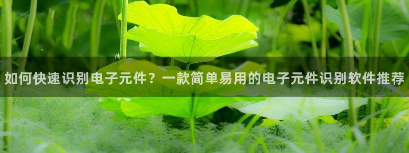 pg麻将胡了进入免费游戏：如何快速识别电子元件？一款简单易用的电子元件识别软件推