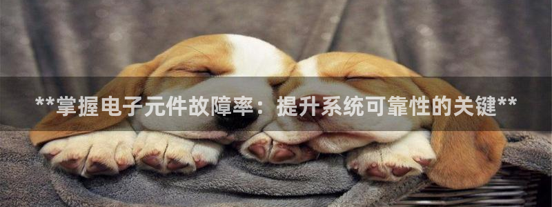 pg试玩版网站：**掌握电子元件故障率：提升系统可靠性的关键**