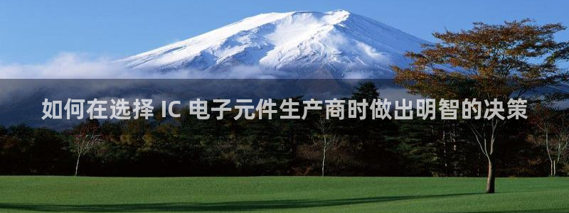 pg电子模拟器游戏修改器：如何在选择 IC 电子元件生产商时做出明智的决策