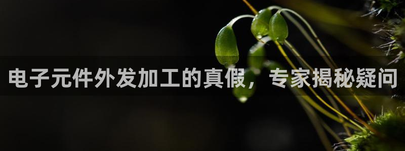 pg电子网站游戏：电子元件外发加工的真假，专家揭秘疑问