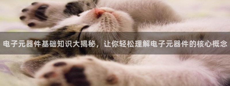 pg电子平台官方网址是多少号：电子元器件基础知识大揭秘，让你轻松理解电子元器件的