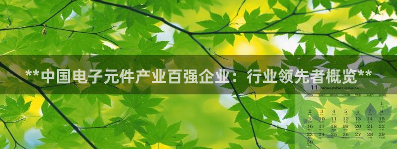 pg电子努c77。tv：**中国电子元件产业百强企业：行业领先者概览**