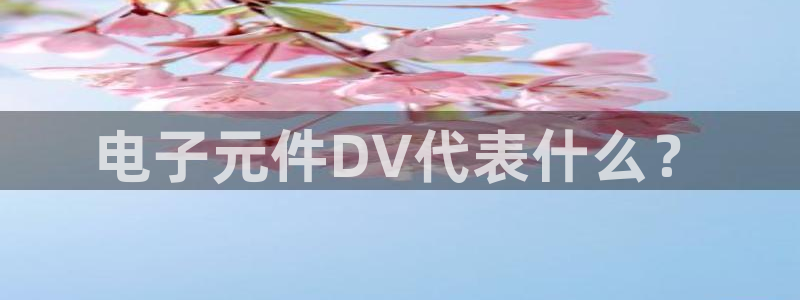 pg电子暨ly79典cn：电子元件DV代表什么？