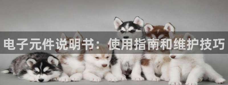 PG电子官方版fxzls -安卓3.5：电子元件说明书：使用指南和维护技巧