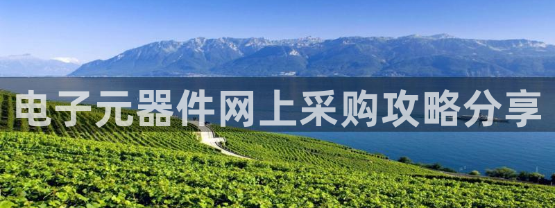 pg电子龙虎平台：电子元器件网上采购攻略分享