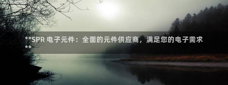 pg电子模拟器麻将胡了下载：**SPR 电子元件：全面的元件供应商，满足您的电子