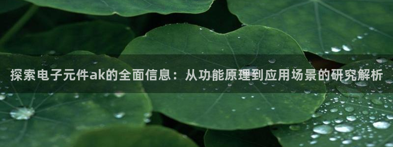 pg电子模拟器单机：探索电子元件ak的全面信息：从功能原理到应用场景的研究解析