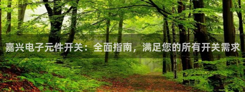 pg电子官方网站-pg试玩：嘉兴电子元件开关：全面指南，满足您的所有开关需求