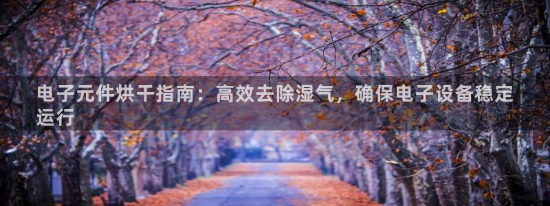 pg电子棋牌有哪些平台可以玩：电子元件烘干指南：高效去除湿气，确保电子设备稳定
