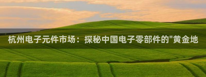 pg电子游戏官网官方网站181VIP：杭州电子元件市场：探秘中国电子零部件的\