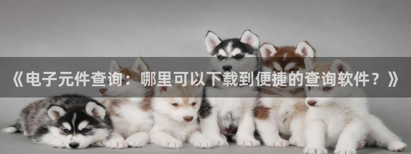 pg电子模拟器试玩破解版：《电子元件查询：哪里可以下载到便捷的查询软件？》