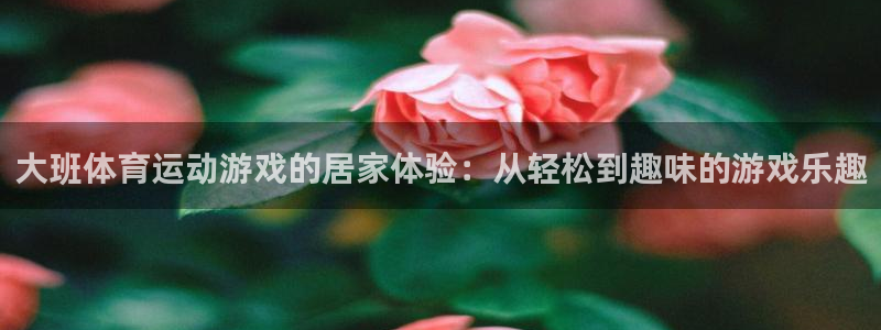 中欧体育(zoty)官网：大班体育运动游戏的居家体验：从轻松到趣味的游戏乐趣