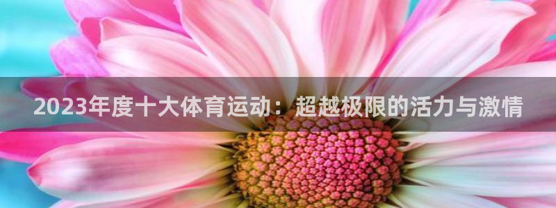 zoty中欧体育网址多少：2023年度十大体育运动：超越极限的活力与激情