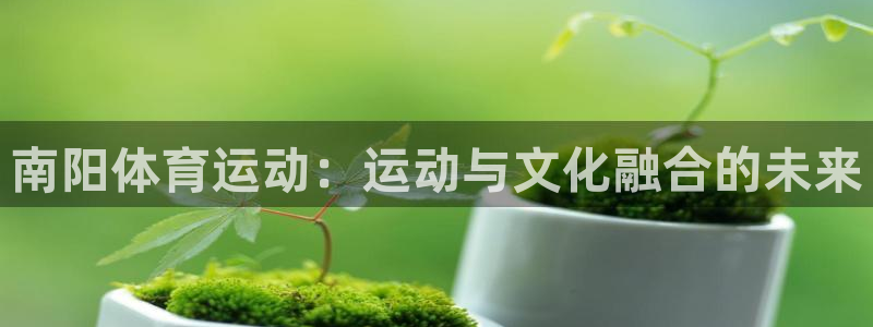 中欧体育kok官网首页：南阳体育运动：运动与文化融合的未来