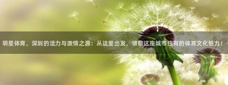 zyty中欧体育平台：明星体育，深圳的活力与激情之源：从这里出发，领略这座城市独有的体育文化魅力！