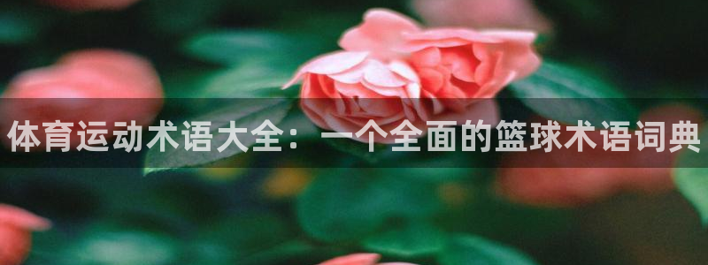 中欧体育官网：体育运动术语大全：一个全面的篮球术语词典