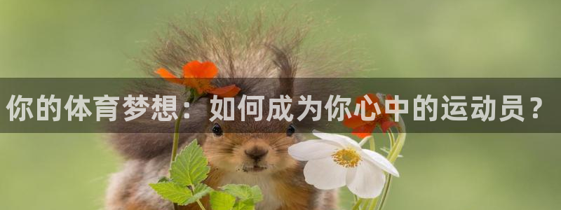 中欧体育kok官网首页：你的体育梦想：如何成为你心中的运动员？