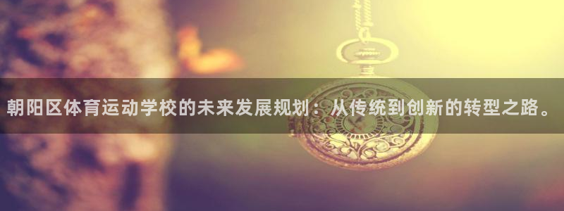 中欧体育集团：朝阳区体育运动学校的未来发展规划：从传统到创新的转型之路。
