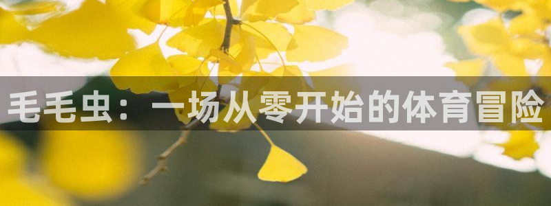 中欧体育下载：毛毛虫：一场从零开始的体育冒险