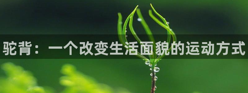 中欧体育kok官网首页：驼背：一个改变生活面貌的运动方式