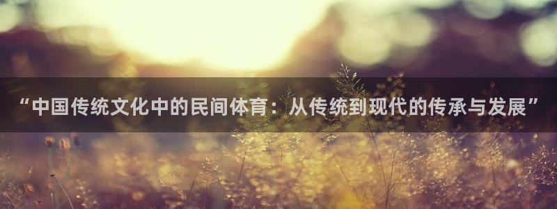 kok中欧体育：“中国传统文化中的民间体育：从传统到现代的传承与发展”