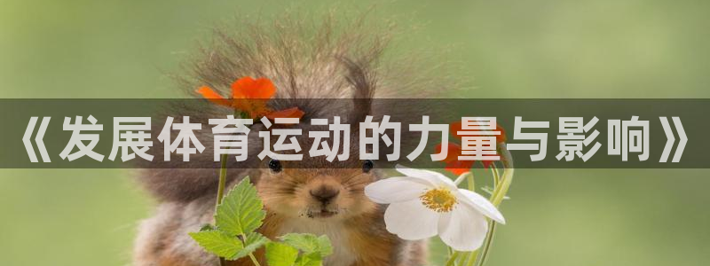 中欧体育集团：《发展体育运动的力量与影响》