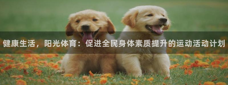 中欧体育最新地址：健康生活，阳光体育：促进全民身体素质提升的运动活动计划
