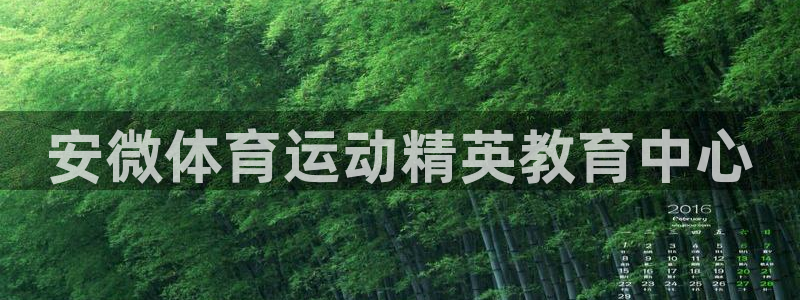 中欧体育最新地址：安微体育运动精英教育中心