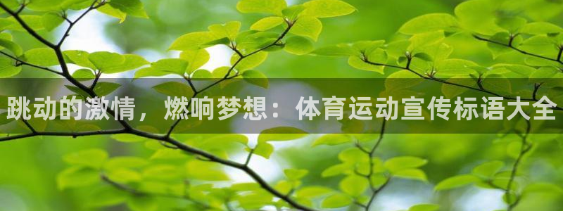 中欧体育ac米兰：跳动的激情，燃响梦想：体育运动宣传标语大全