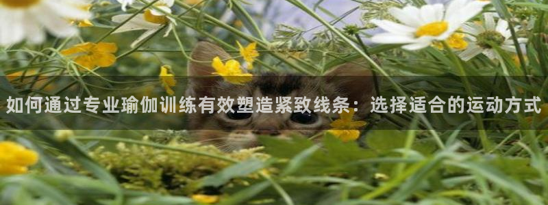 中欧体育网页登录