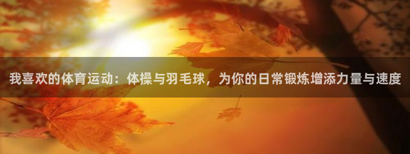 中欧体育kok