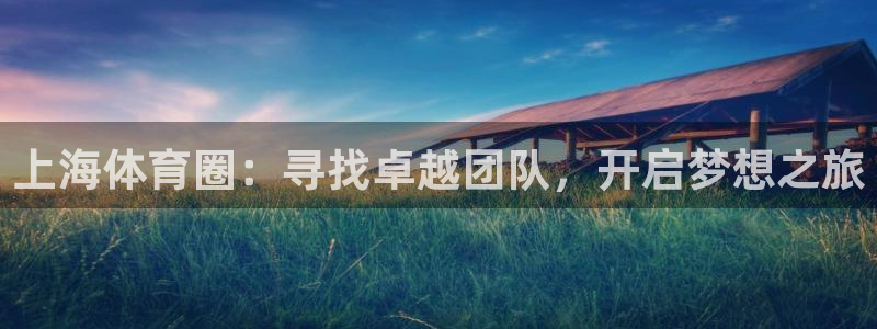 中欧体育在线：上海体育圈：寻找卓越团队，开启梦想之旅